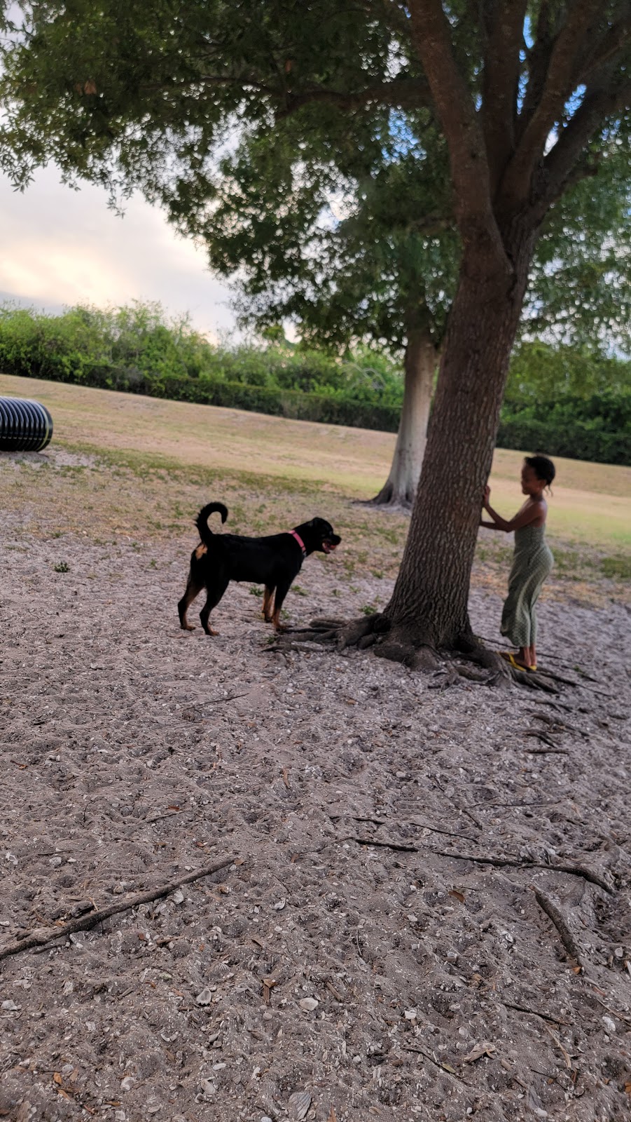 Apollo Beach Park and Community Center | 664 Golf and Sea Blvd, Apollo Beach, FL 33572, USA | Phone: (813) 671-7635 Apollo Beach Park and Community Center | 664 Golf and Sea Blvd, Apollo Beach, FL 33572, USA | Phone: (813) 671-7635