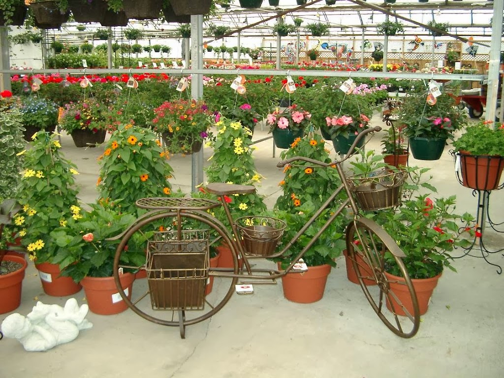 Malmborgs Garden Center | 20045 County Rd 81, Rogers, MN 55311, USA | Phone: (763) 428-2061