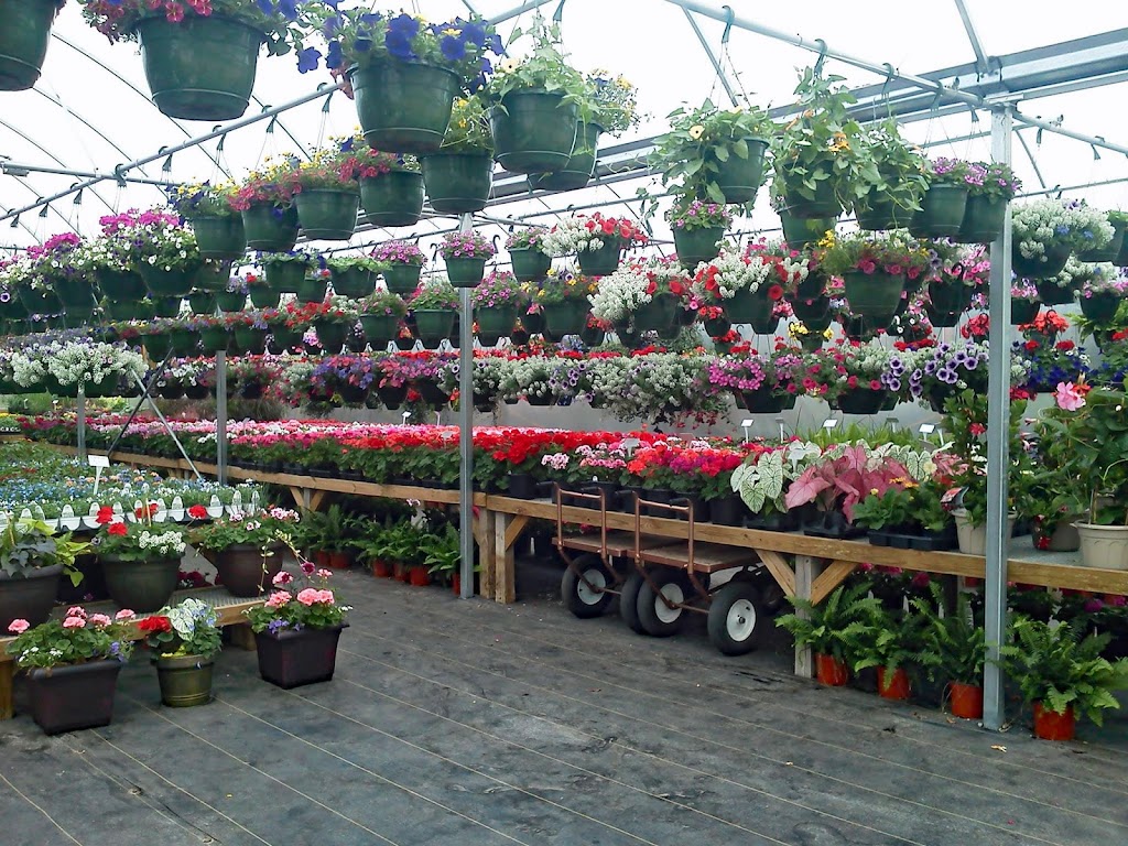 Crystal Creek Gardens Inc | 604 E St Clair St, Eaton, OH 45320, USA | Phone: (937) 456-0153