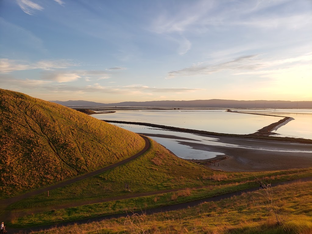 Coyote Hills Regional Park | 8000 Patterson Ranch Rd, Fremont, CA 94555, USA | Phone: (510) 544-3220