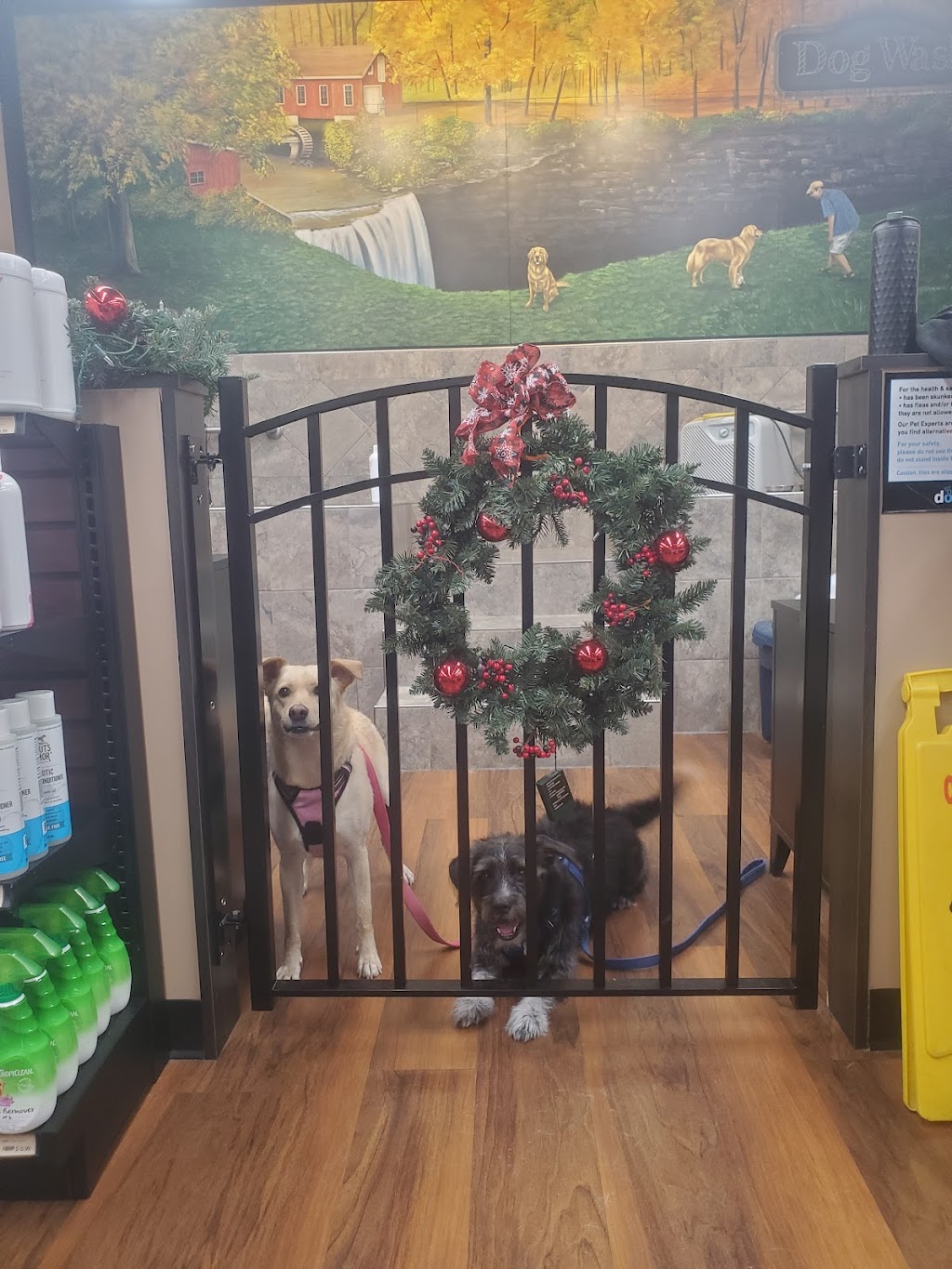Pet Valu | 286 Bunting Rd, St. Catharines, ON L2M 7T9, Canada | Phone: (905) 988-9657