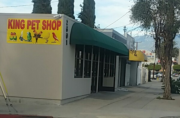 King Pet Shop | 2601 Rosemead Blvd, South El Monte, CA 91733, USA | Phone: (626) 695-1398
