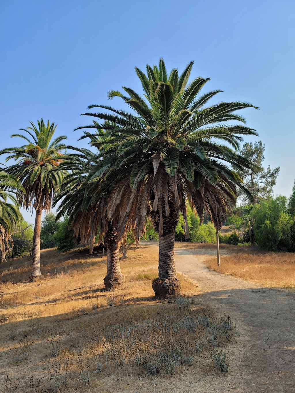 Ernest E. Debs Regional Park | 4235 Monterey Rd, Los Angeles, CA 90032, USA | Phone: (213) 485-5054