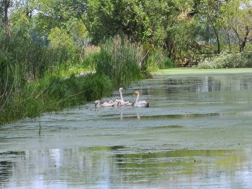 Lake St. Clair Metropark Nature Center | 31300 Metro Parkway, Harrison Twp, MI 48045, USA | Phone: (586) 463-4332