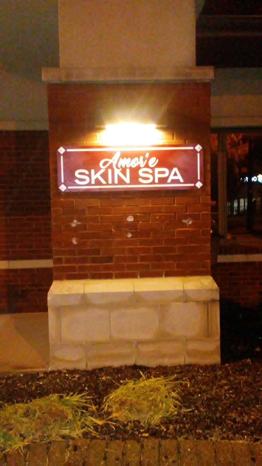 Amore Skin Spa | 19 Bronze Pointe Blvd C, Swansea, IL 62226, USA | Phone: (618) 910-1411