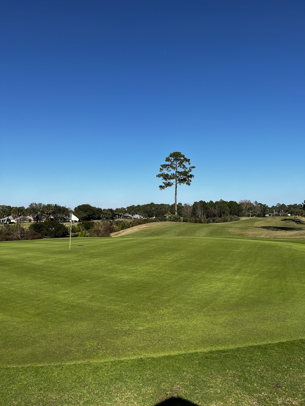 Royal St Augustine Golf and Country Club | 301 Royal St Augustine Pkwy, St. Augustine, FL 32084, USA | Phone: (904) 824-4653