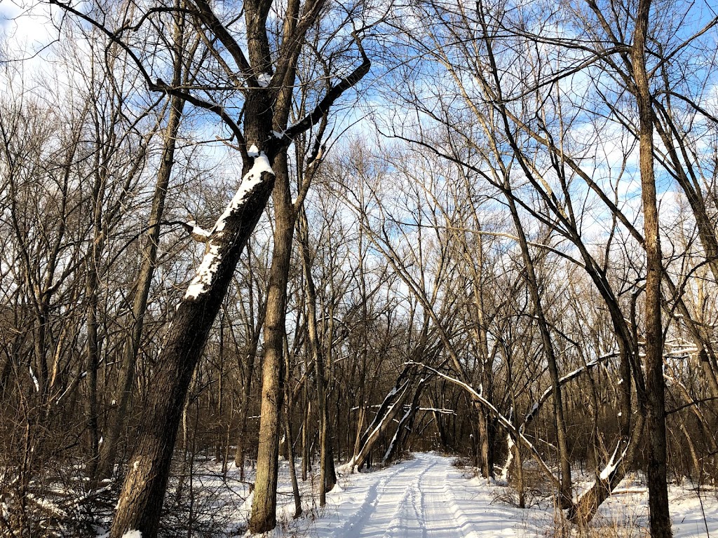 Mazomanie Bottoms State Natural Area | 101 S Webster St, Madison, WI 53703, USA | Phone: (888) 936-7463