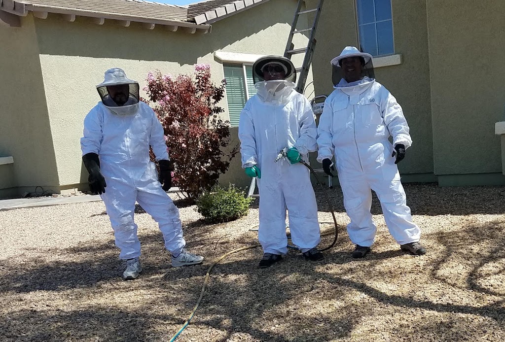 Results Pest & Termite, Bed Bug Control, & Bee Exterminator | 1820 S Harrison Rd, Tucson, AZ 85748, USA | Phone: (520) 771-0682