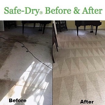 Safe-Dry Carpet Cleaning of Arlington | 10505 US-64, Arlington, TN 38002, USA | Phone: (901) 290-7851