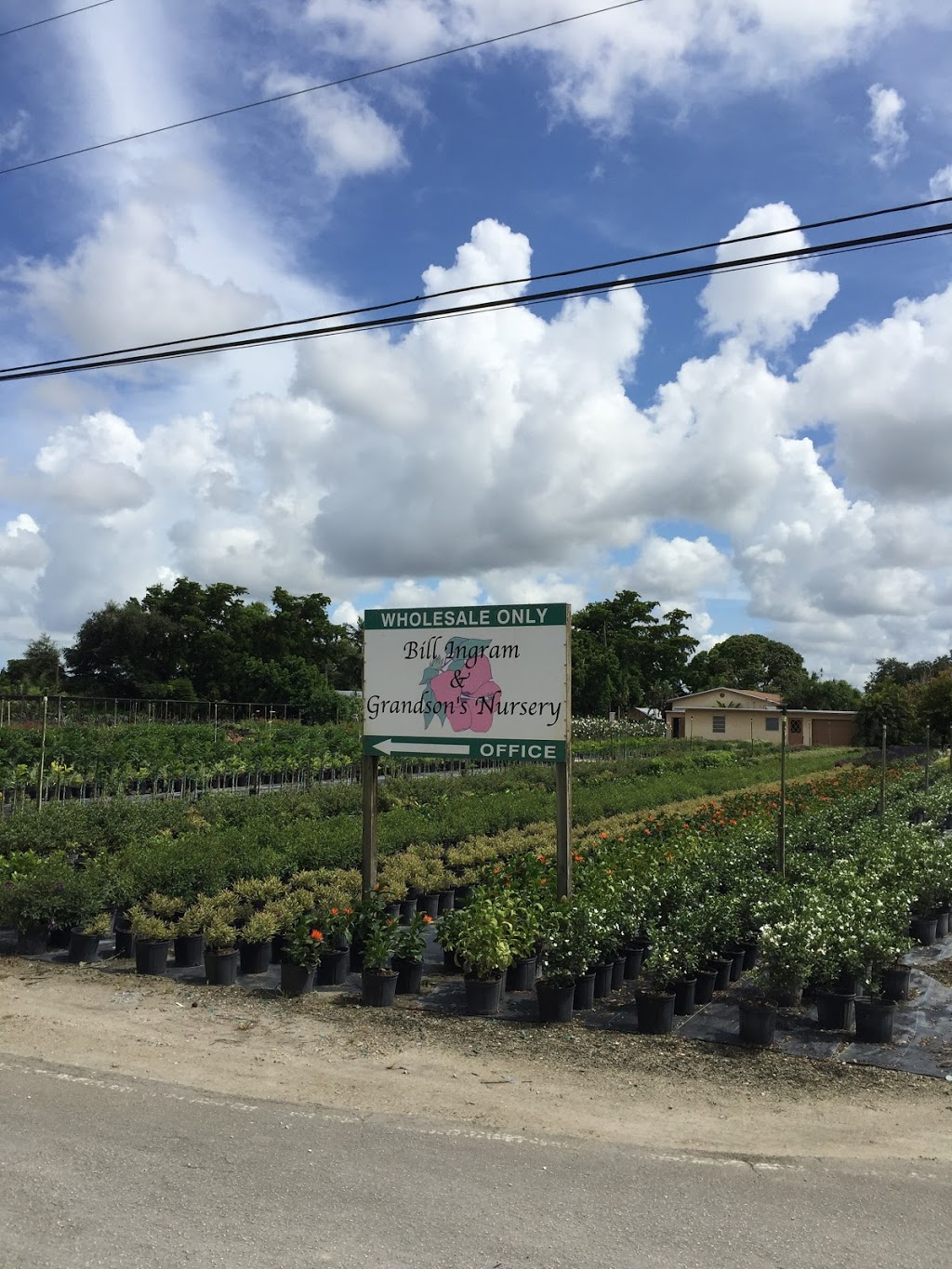 Bill Ingram Wholesale Nursery | 15590 SW 256th St, Homestead, FL 33032, USA | Phone: (305) 247-1483