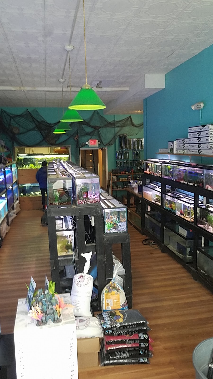 Pets General Store | 16821 Madison Ave, Lakewood, OH 44107, USA | Phone: (216) 226-0886