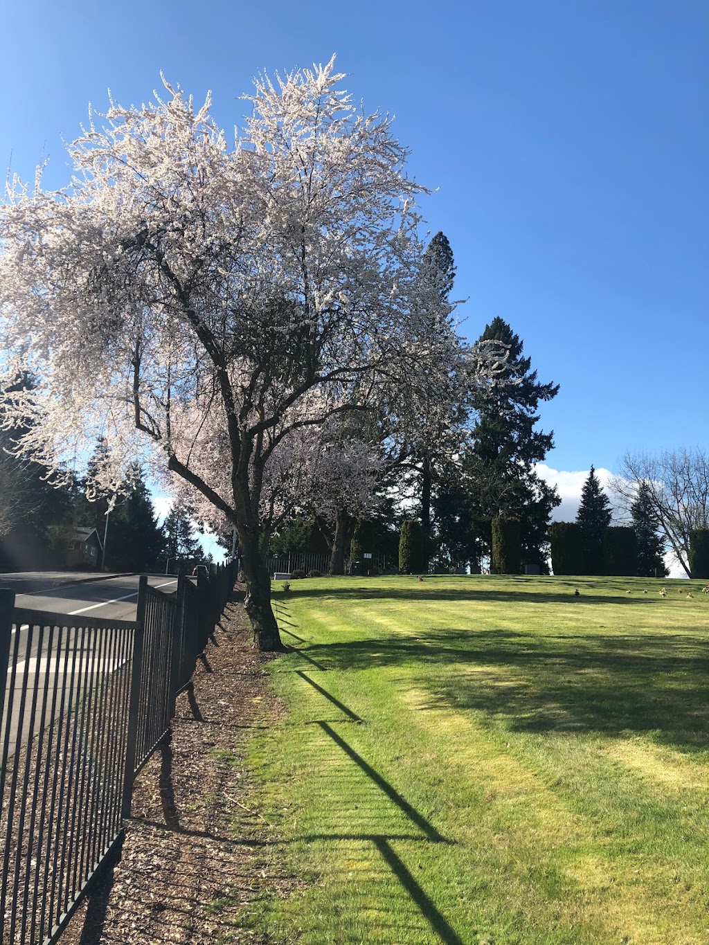 Saint Anthony Cemetery and Columbarium | 11585 SW Gaarde St, Tigard, OR 97223, USA | Phone: (503) 639-4179