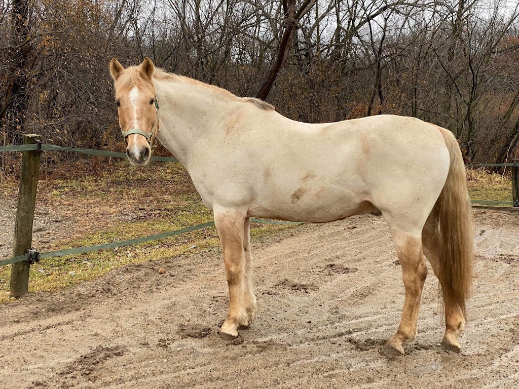 BakerHill Stables | 13750 W Bruns Rd, Manhattan, IL 60442, USA | Phone: (815) 277-9441