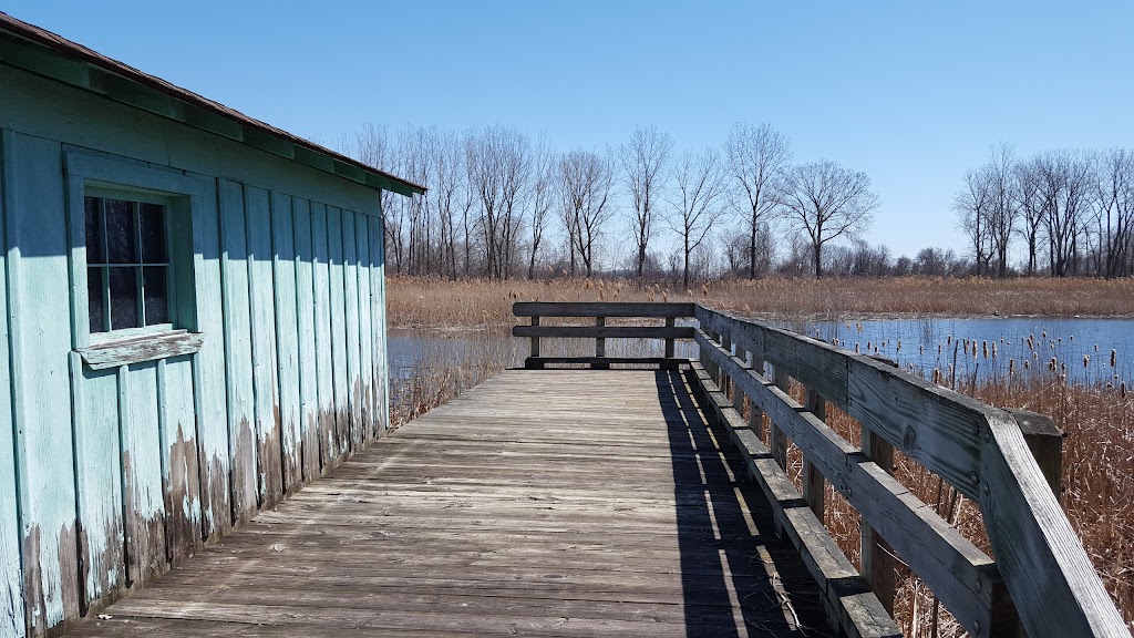 Marshlands Museum & Nature Center | 32481 W Jefferson Ave, Brownstown Charter Twp, MI 48173, USA | Phone: (734) 379-5020