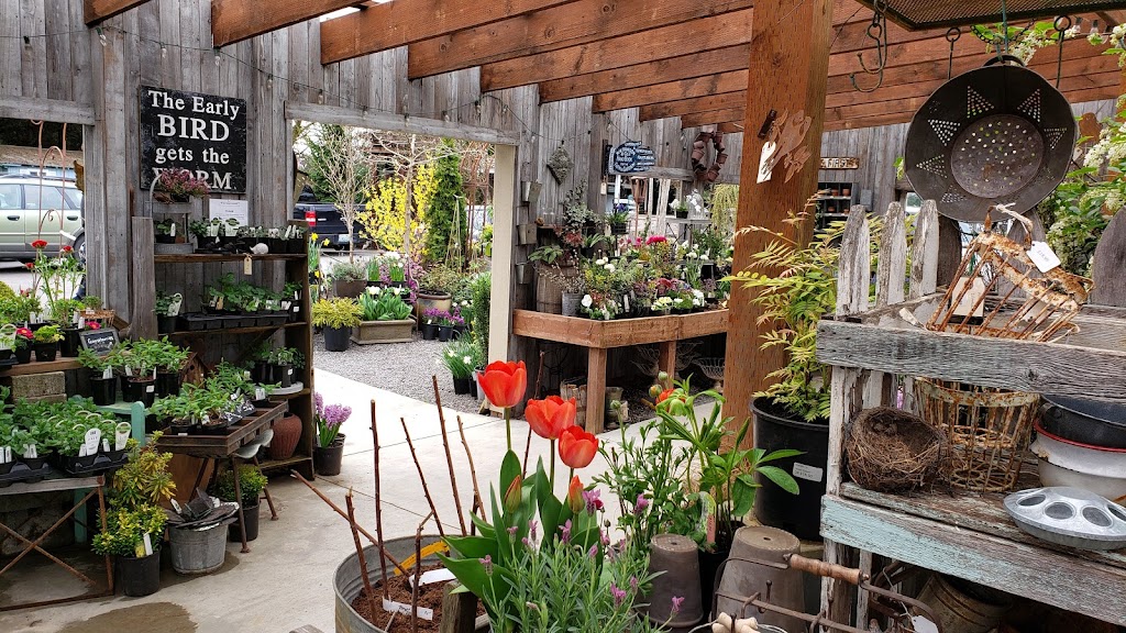 Pine Creek Farms & Nursery | 23225 Sofie Rd, Monroe, WA 98272, USA | Phone: (360) 863-8866