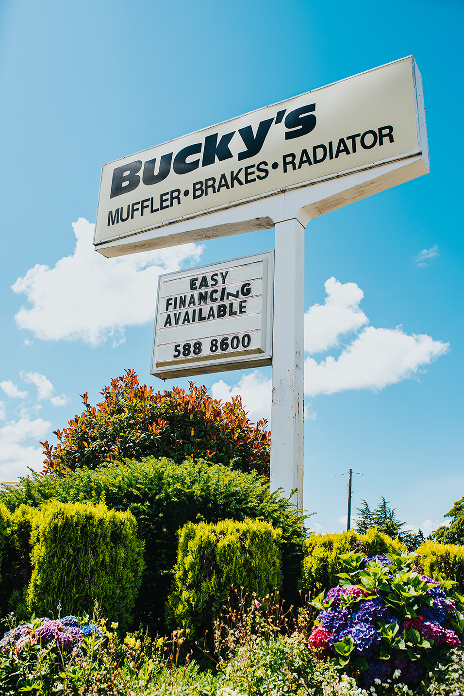 Buckys Lakewood | 10002 Lakeview Ave SW, Lakewood, WA 98499, USA | Phone: (253) 300-1093