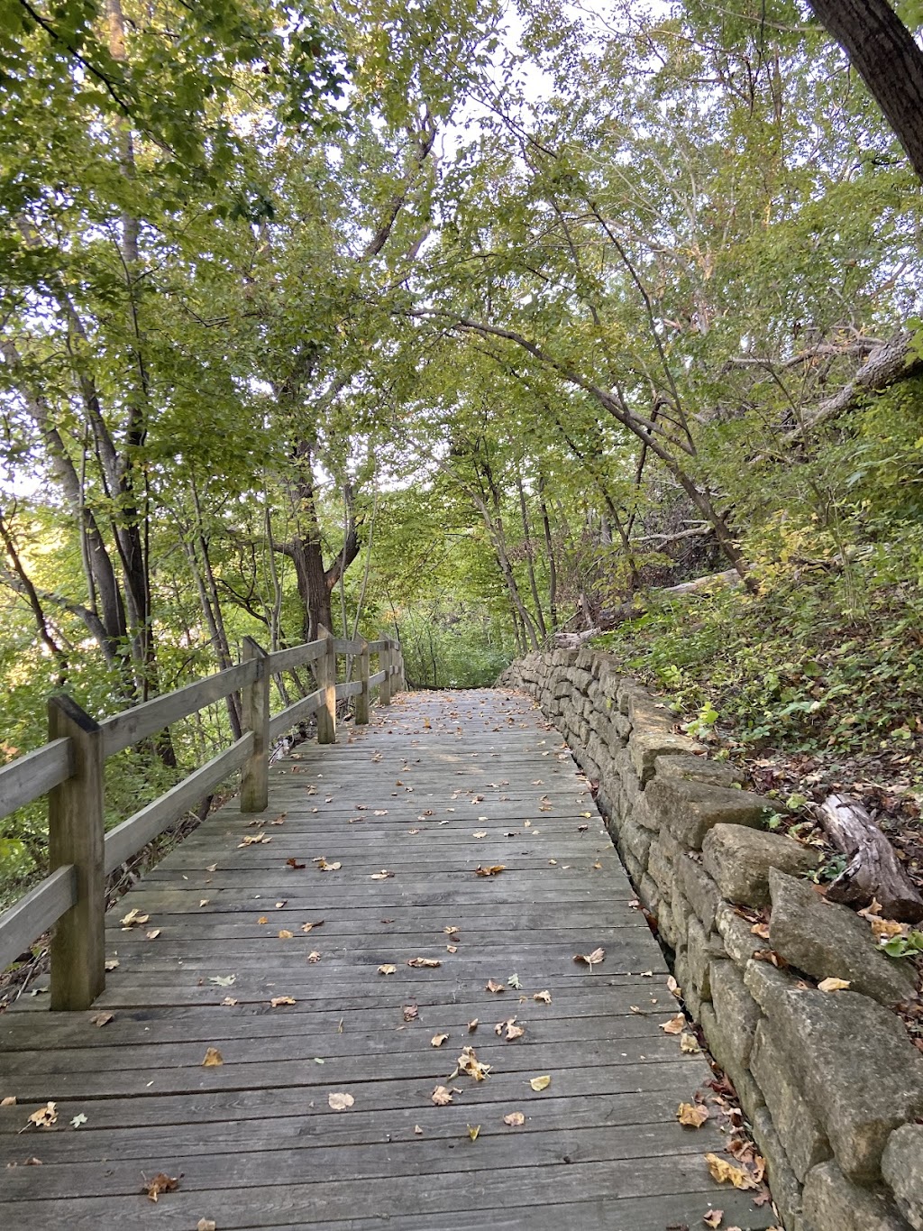 Isley Park Woods Natural Area | Lovers Ln, Excelsior Springs, MO 64024, USA | Phone: (816) 630-1040