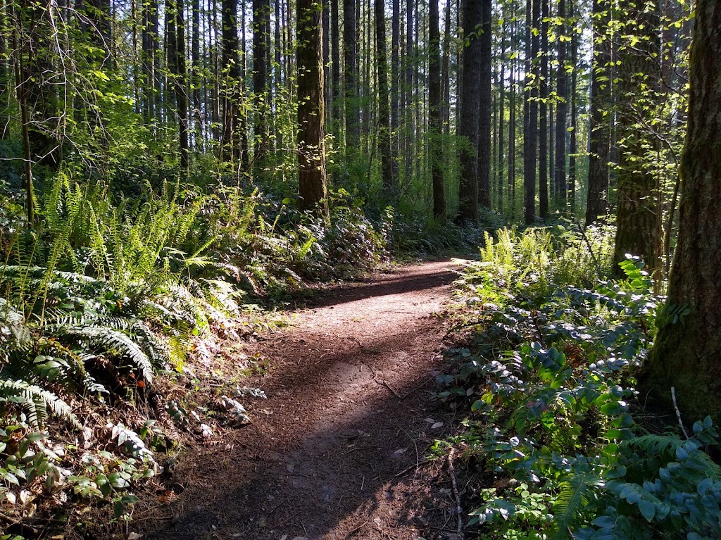 L.L. Stub Stewart State Park | L.L. Stub Stewart State Park, Buxton, OR 97109, USA | Phone: (800) 551-6949