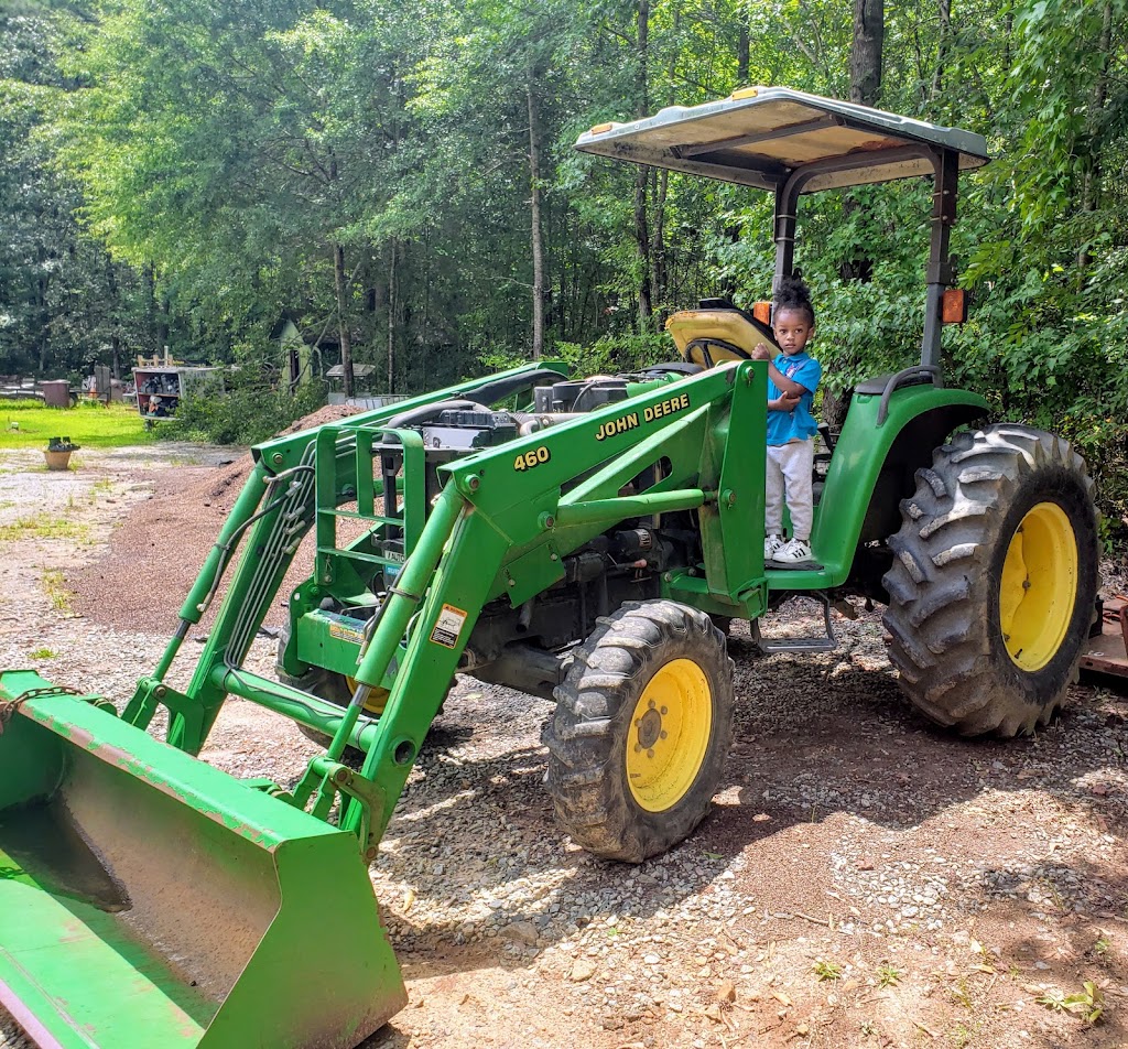 Pine Forest Gardens Hosta Nursery | 556 Ellison Rd, Tyrone, GA 30290, USA | Phone: (770) 487-5036