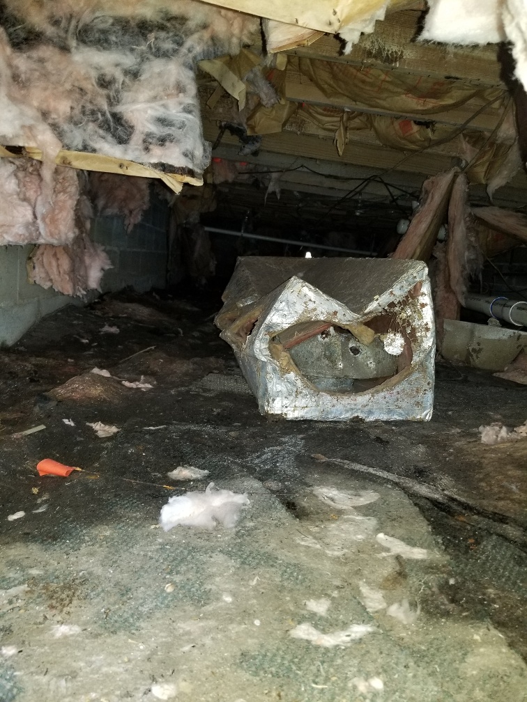 Grimes Solutions | 875 Lakeview Dr, DeLand, FL 32720, USA | Phone: (386) 561-3499