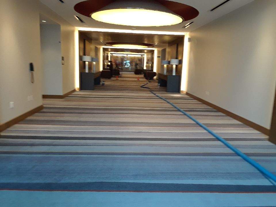 Bloomington Carpet & Upholstery Cleaning | 10518 Sheridan Ave S, Bloomington, MN 55431, USA | Phone: (952) 884-4677