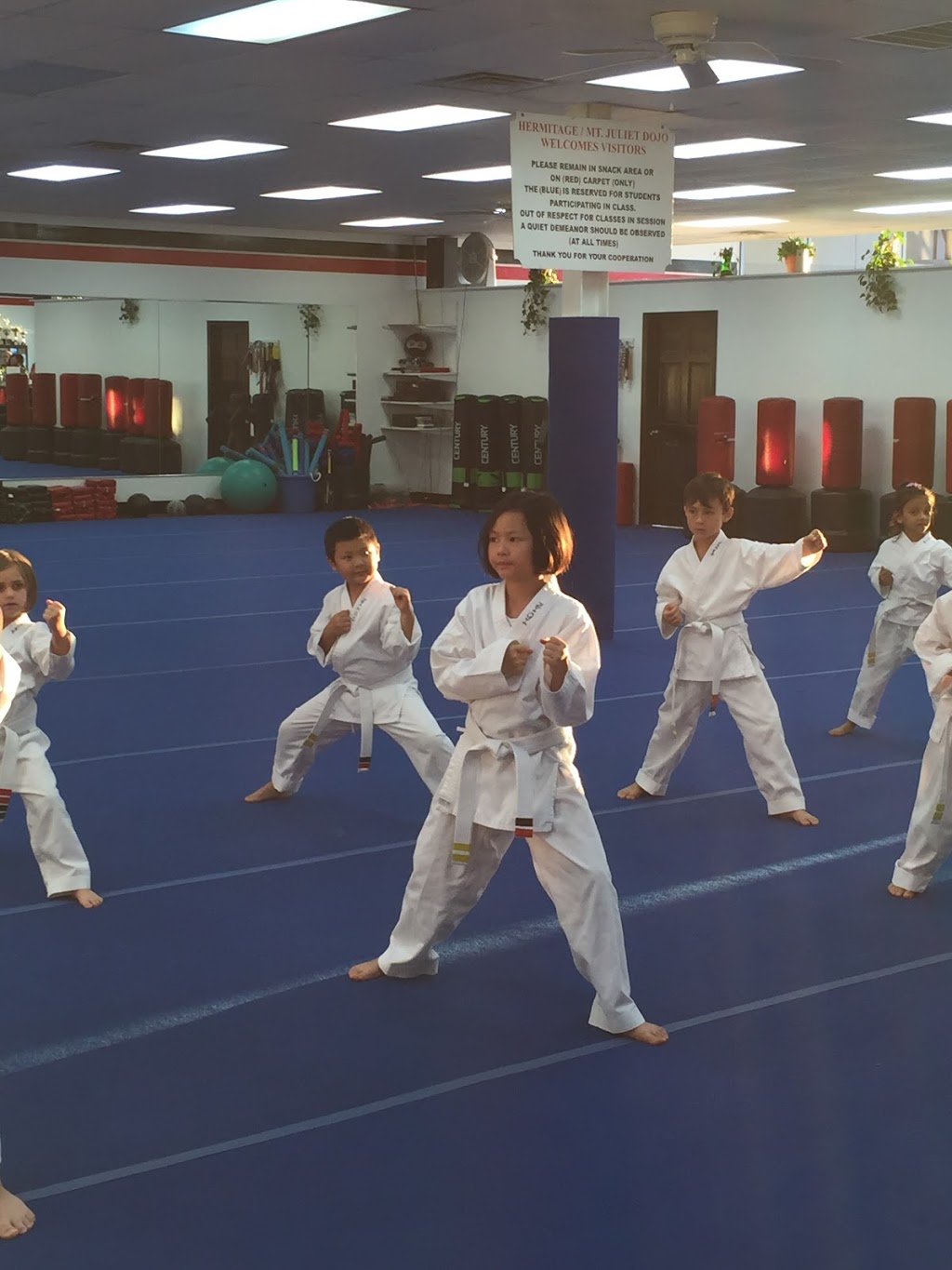 Deaton Karate Studio | 1249 N Mt Juliet Rd, Mt. Juliet, TN 37122, USA | Phone: (615) 754-6878