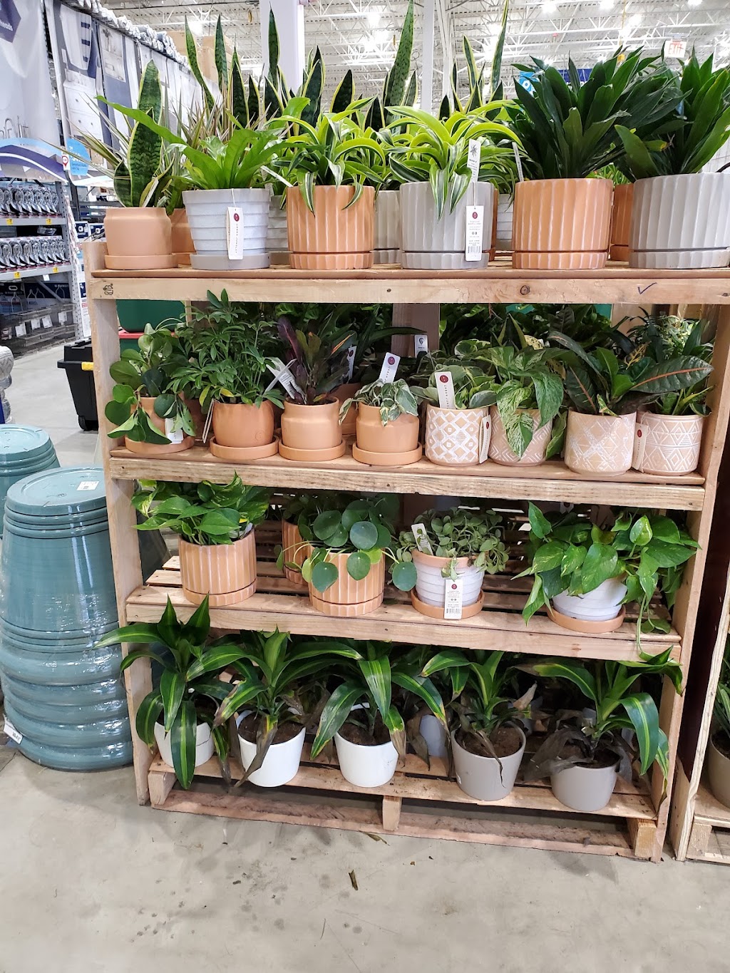 Lowes Garden Center | 8224 Golden Link Blvd, Northfield, OH 44067, USA | Phone: (330) 908-2750