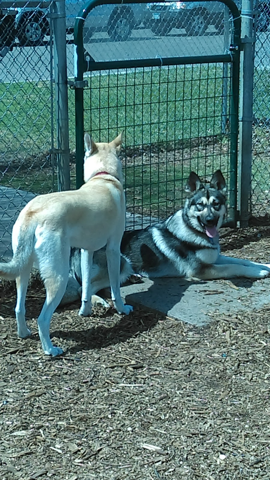 Bassett Creek Dog Park | 5621 32nd Ave N, Crystal, MN 55422 | Phone: (763) 533-4675