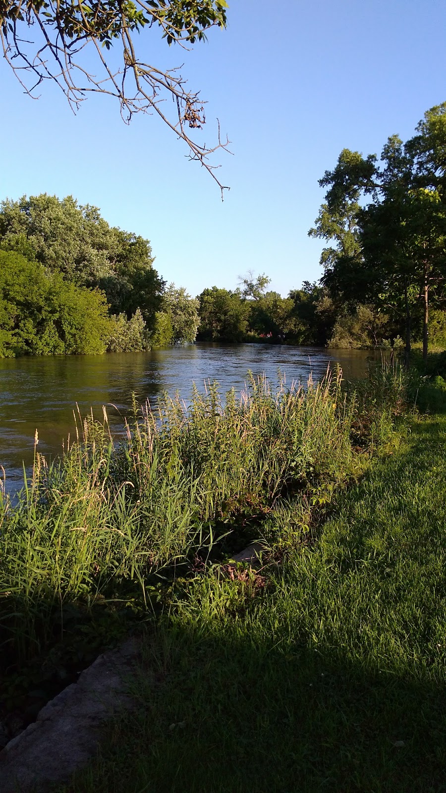 Liston Dog Park | 702 Hill St, Baraboo, WI 53913, USA | Phone: (608) 355-2760