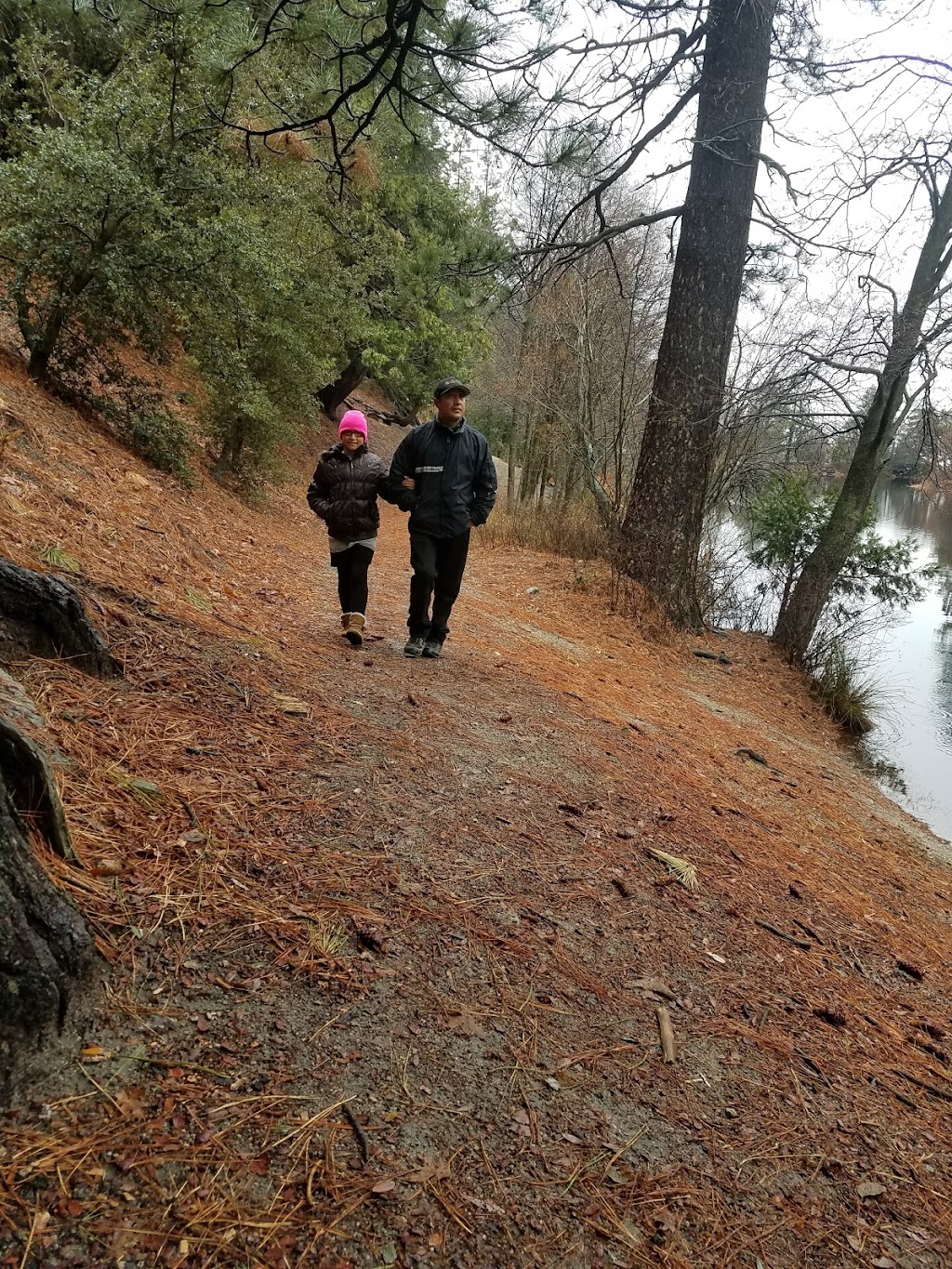 UC James San Jacinto Mountain Reserve | 20950 Banning-Idyllwild Panoramic Highway, 20950 HWY 243 - Lake Fulmor, Idyllwild-Pine Cove, CA 92549, USA | Phone: (951) 827-6835