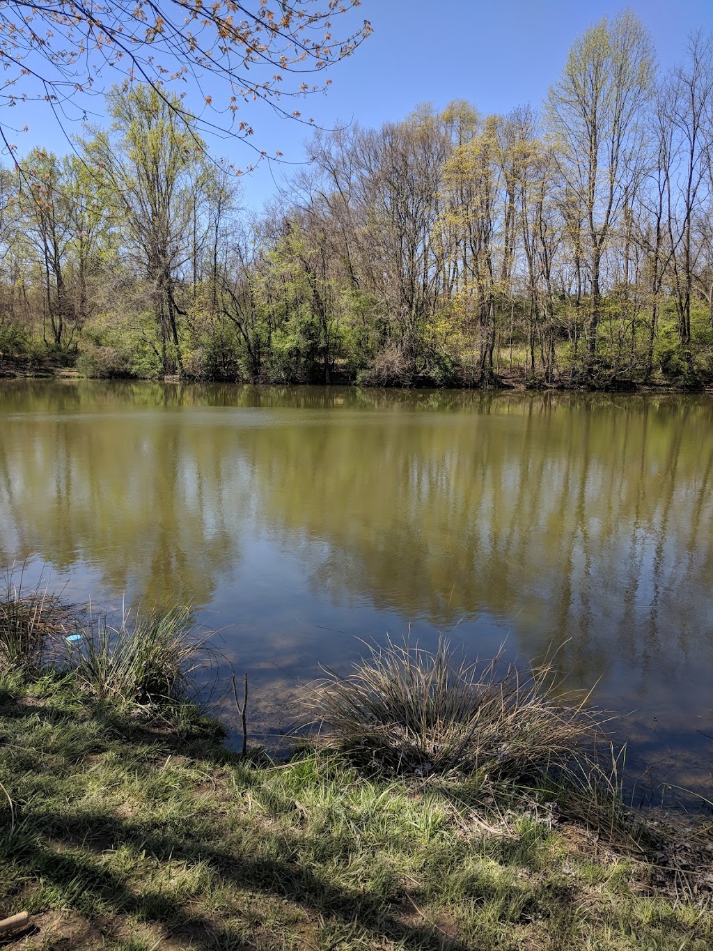 Curtis Gates Lloyd Wildlife Management Area | 230 Gardnersville Rd, Crittenden, KY 41030, USA | Phone: (859) 428-2262