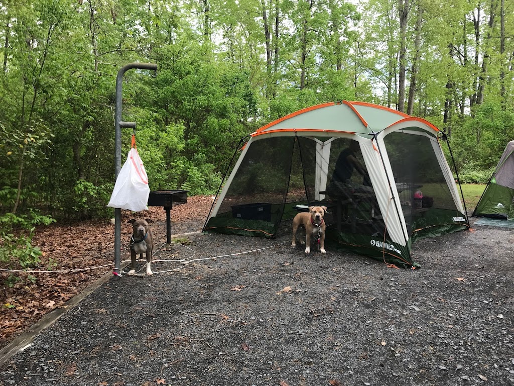 Badin lake campground upper loop | New London, NC 28127, USA | Phone: (910) 576-6391