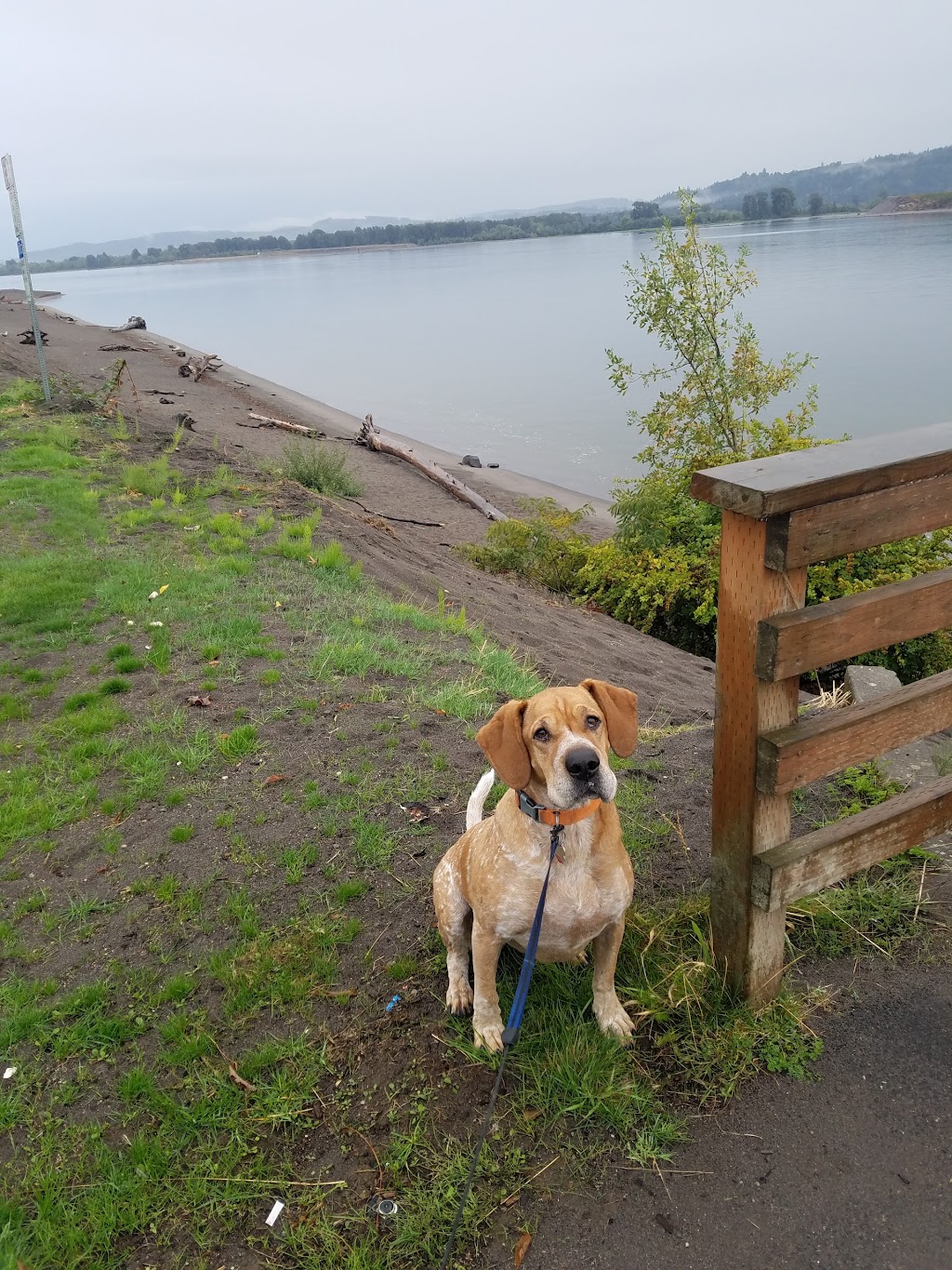 Louis Rasmussen Beach Park | 266-272 N Hendrickson Dr, Kalama, WA 98625, USA | Phone: (503) 257-6111