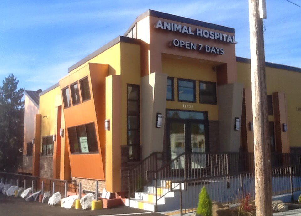 South Seattle Veterinary Hospital | 11033 1st Ave S, Seattle, WA 98168, USA | Phone: (206) 242-8338