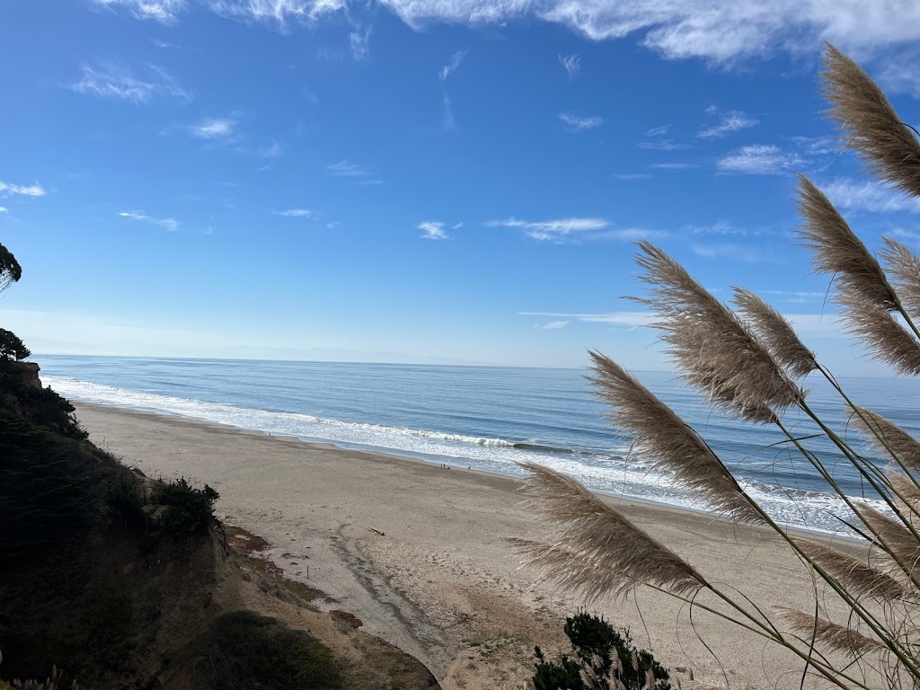 Seascape County Park | Sumner Ave, Aptos, CA 95003, USA | Phone: (831) 454-7938