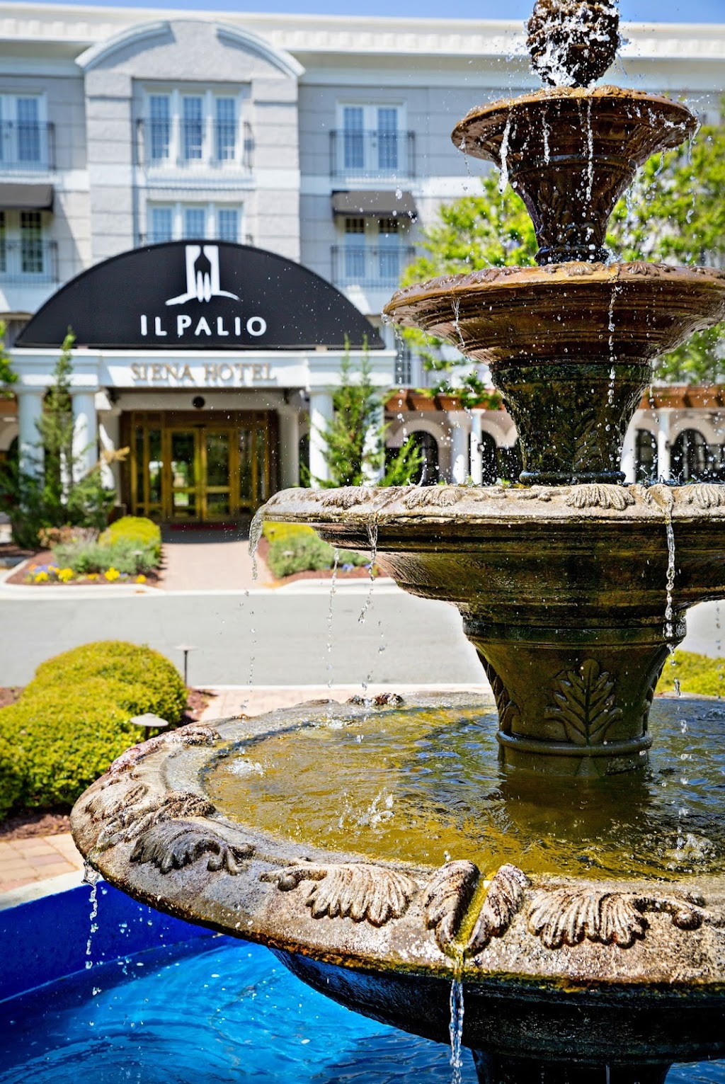 IL PALIO RESTAURANT | 1505 E Franklin St, Chapel Hill, NC 27514 | Phone: (919) 918-2545