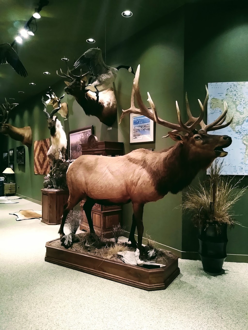 Wendel Museum of Animal Conservation | 8303 SE Evergreen Hwy, Vancouver, WA 98664, USA | Phone: (360) 241-9646