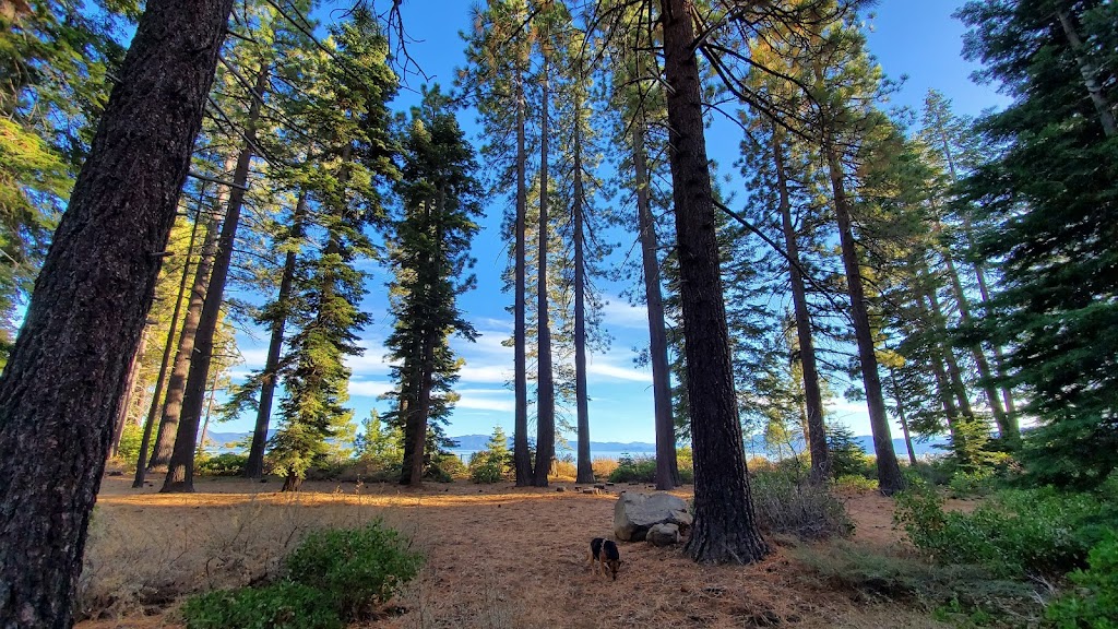 Skylandia Park | 30 Manzanita Ave, Tahoe City, CA 96145, USA | Phone: (530) 583-3796