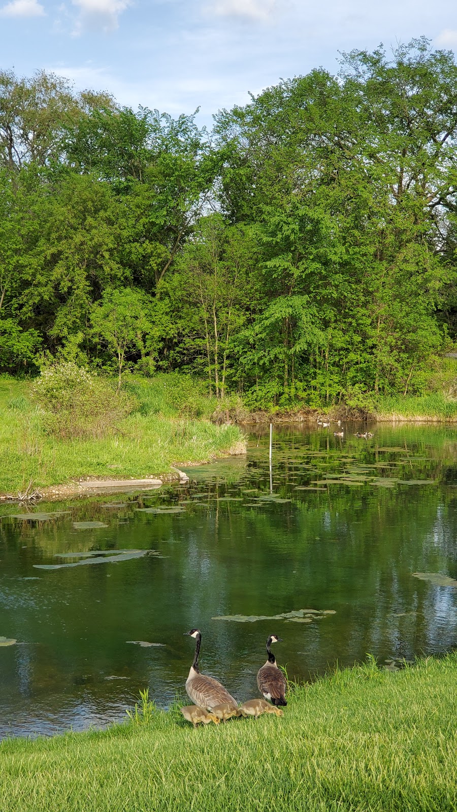 Token Creek Conservancy | 6394 Portage Rd, DeForest, WI 53532, USA | Phone: (608) 846-3854