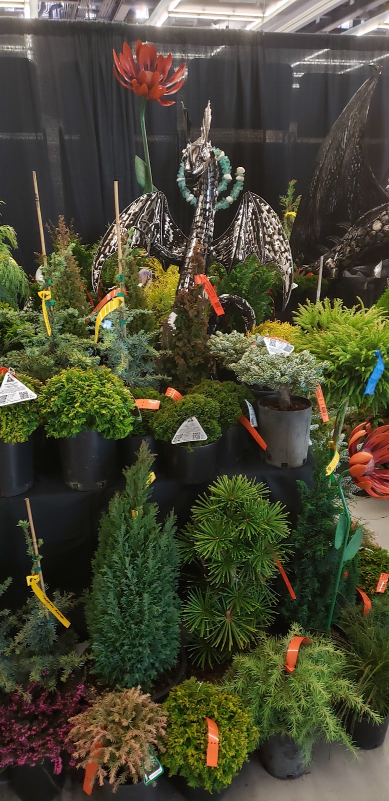 French Prairie Perennials | 14936 3rd St NE, Aurora, OR 97002, USA | Phone: (503) 679-2871