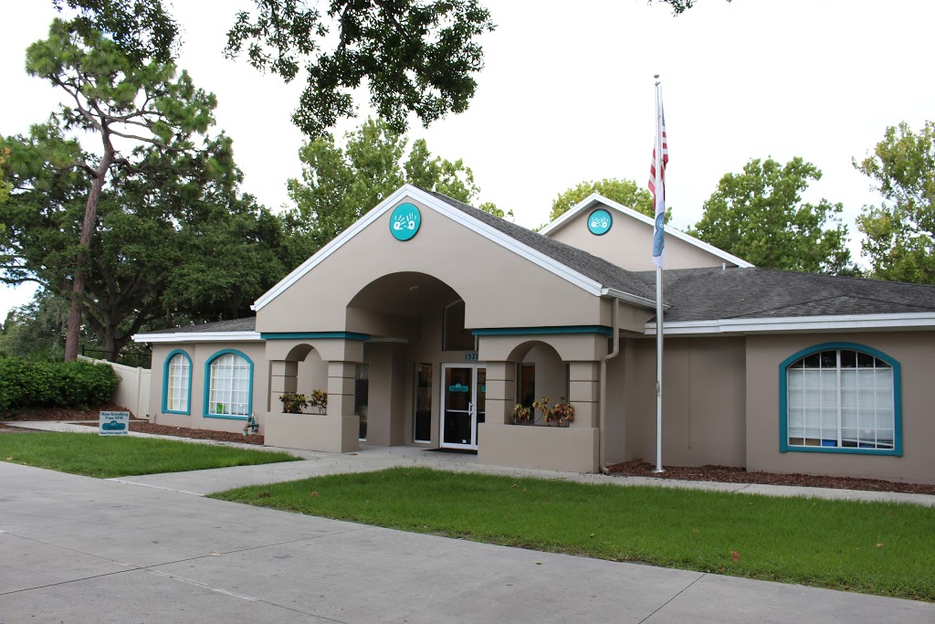Childrens Nest Day School | 15713 Mapledale Blvd, Tampa, FL 33624, USA | Phone: (813) 968-4235