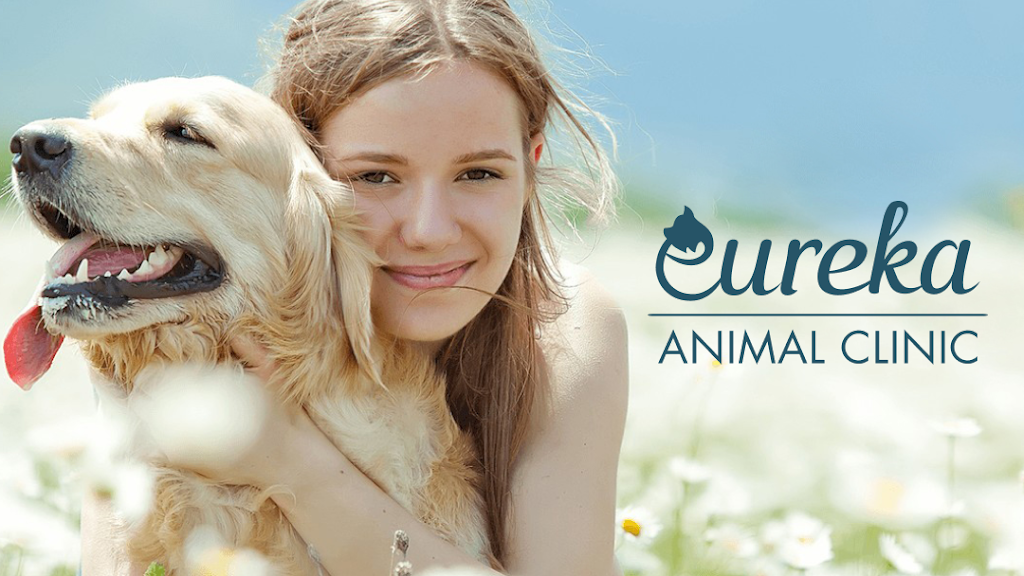 Eureka Animal Clinic | 11326 SW 184th St, Miami, FL 33157, USA | Phone: (305) 253-6754