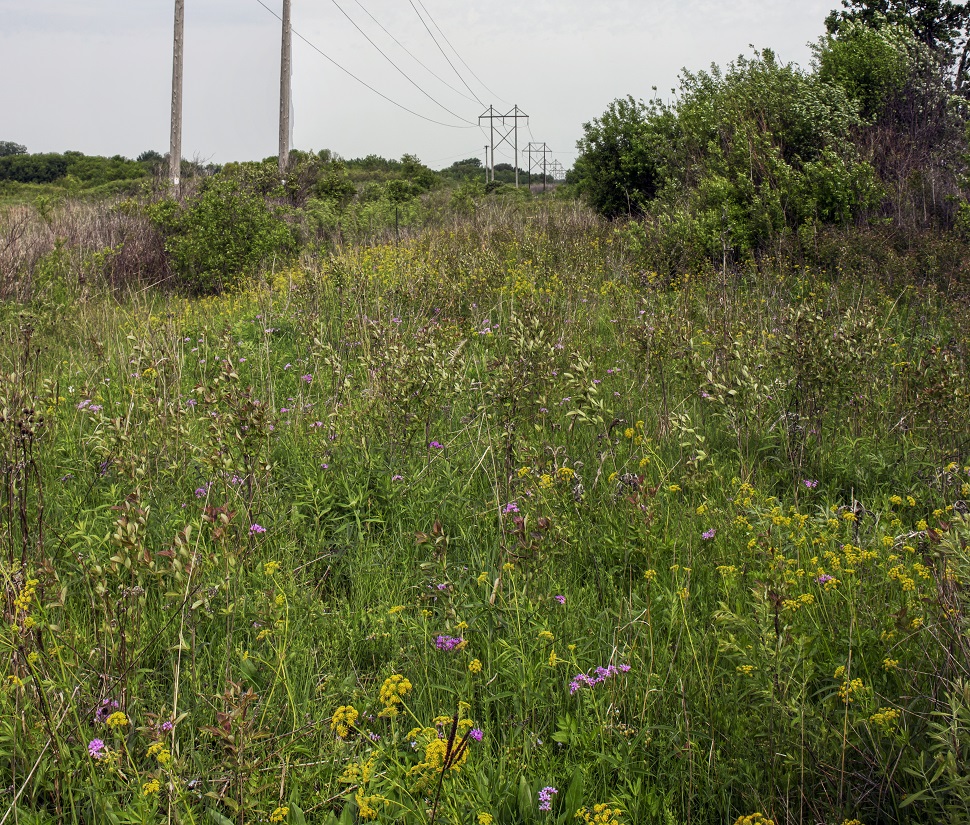 Kessler Railroad Prairie State Natural Area | Janesville, WI 53548, USA | Phone: (888) 936-7463