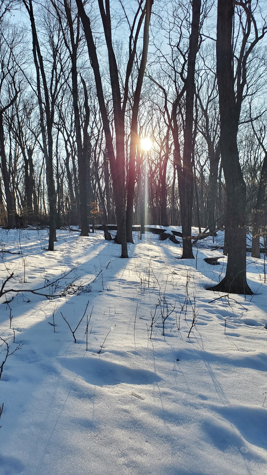 Nerstrand Big Woods State Park | 9700 170th St E, Nerstrand, MN 55053, USA | Phone: (507) 384-6140