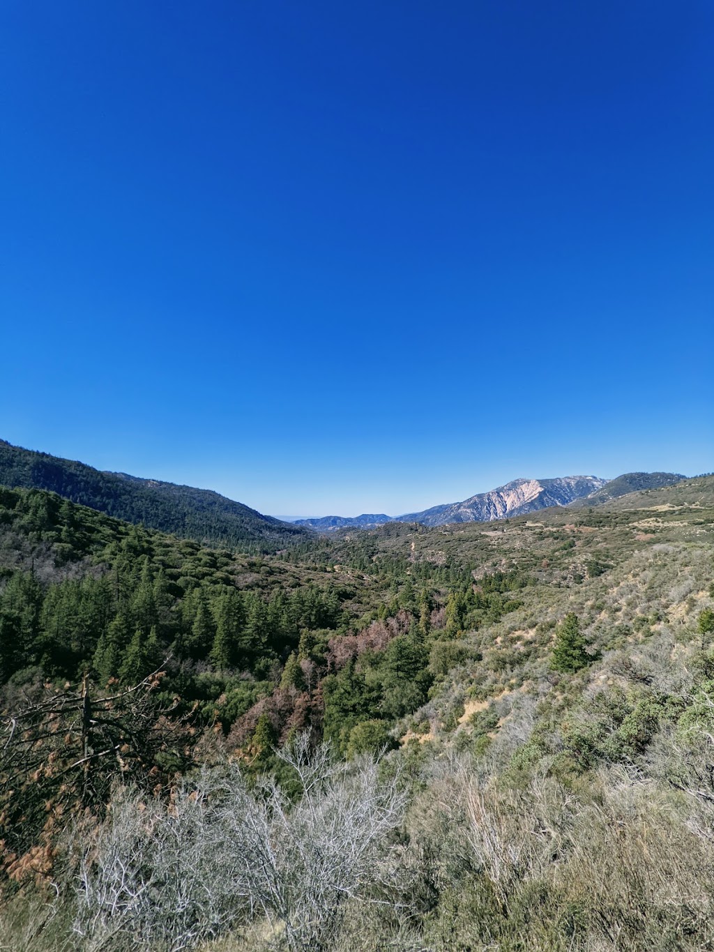 Santa Ana River Trail 2E03 | 43730-44598 CA-38, Angelus Oaks, CA 92305, USA | Phone: (909) 382-2882