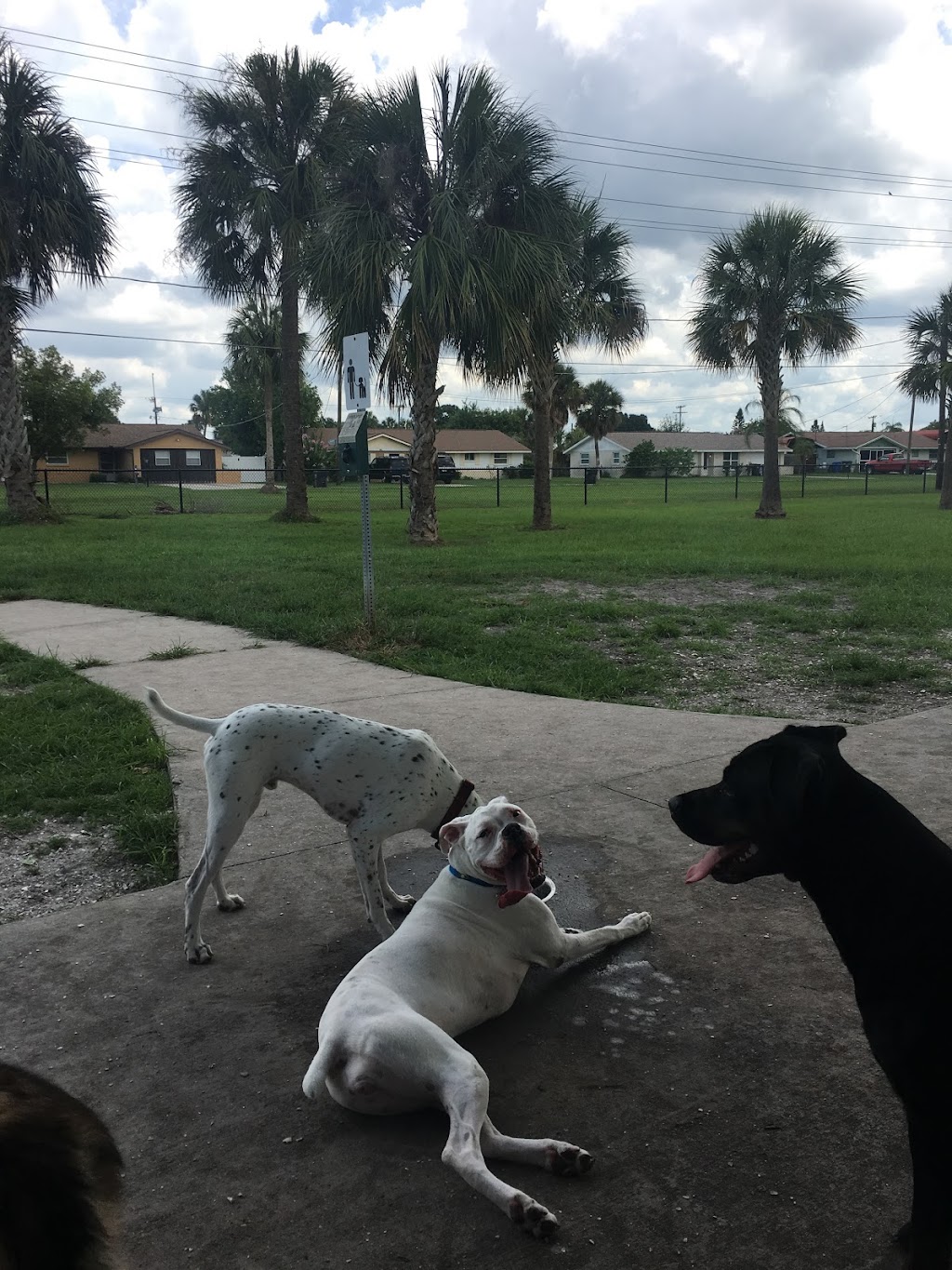 Apollo Beach Dog Park | 664 Golf and Sea Blvd, Apollo Beach, FL 33572, USA | Phone: (813) 671-7635 Apollo Beach Dog Park | 664 Golf and Sea Blvd, Apollo Beach, FL 33572, USA | Phone: (813) 671-7635