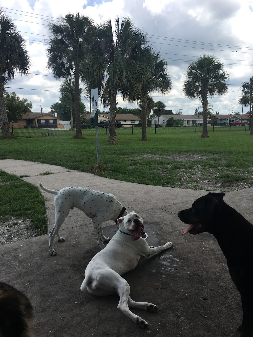 Apollo Beach Dog Park | 664 Golf and Sea Blvd, Apollo Beach, FL 33572, USA | Phone: (813) 671-7635