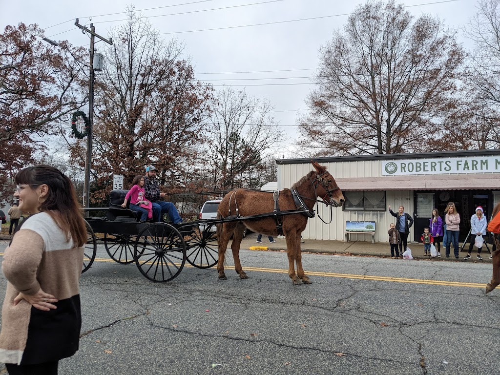 Roberts Farm Store | 130 S Main St, Denton, NC 27239 | Phone: (336) 687-6443