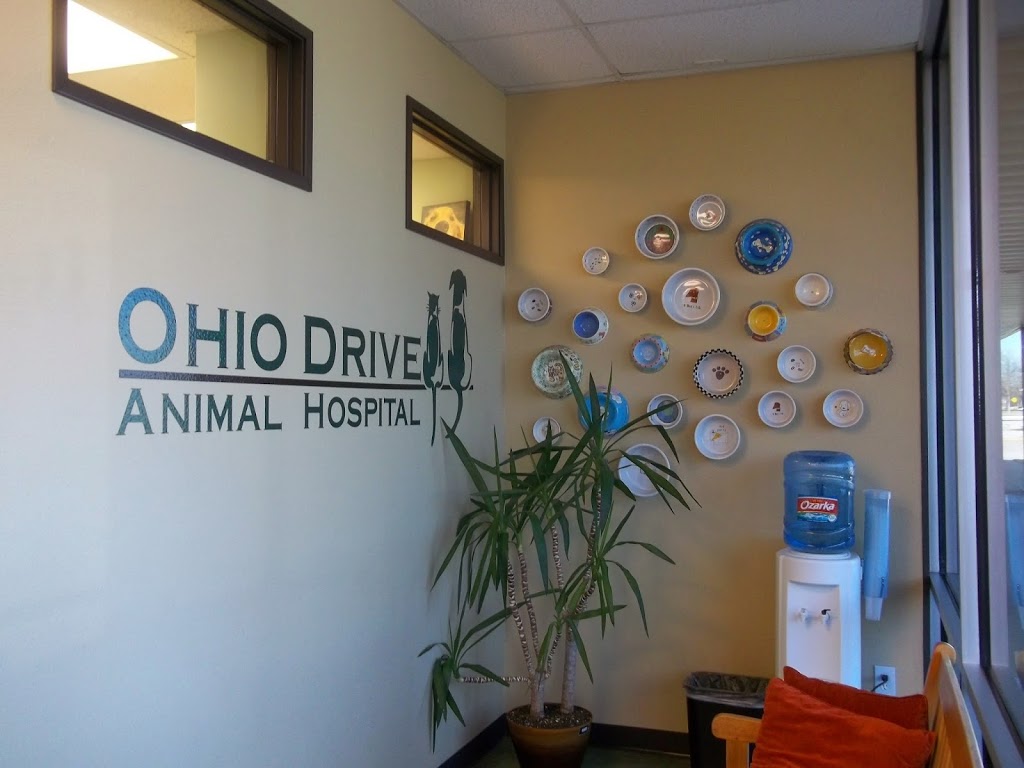 Ohio Drive Animal Hospital | 1101 Ohio Dr Suite: 104, Plano, TX 75093, USA | Phone: (972) 599-2224