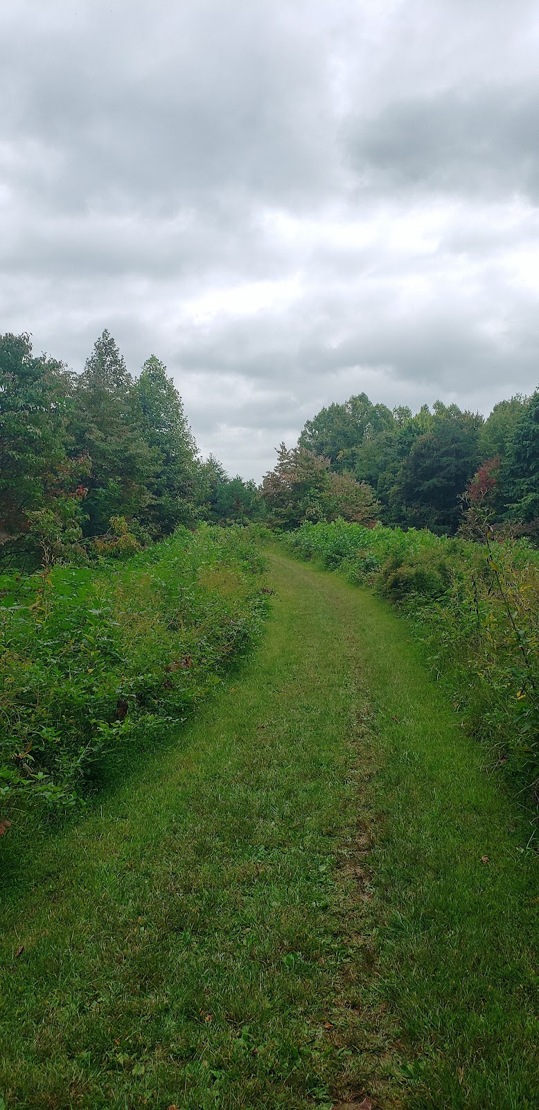 Cemetery Ridge Trail | Creekside Meadows Trail, Rockbridge, OH 43149, USA | Phone: (740) 969-8210